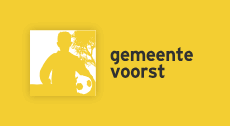 gemeente voorst Flag